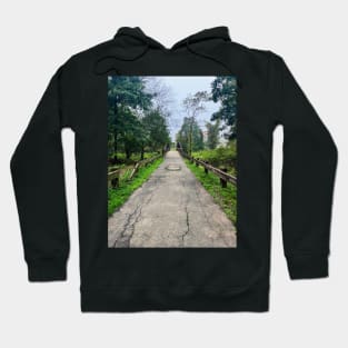 Late September Morning New England Nature Walk - bridge Hoodie